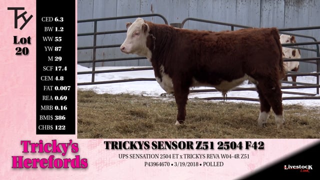 Lot #20 - TRICKYS SENSOR Z51 2504 F42
