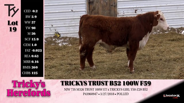 Lot #19 - TRICKYS TRUST B52 100W F59
