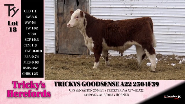Lot #18 - TRICKYS GOODSENSE A22 2504 F39
