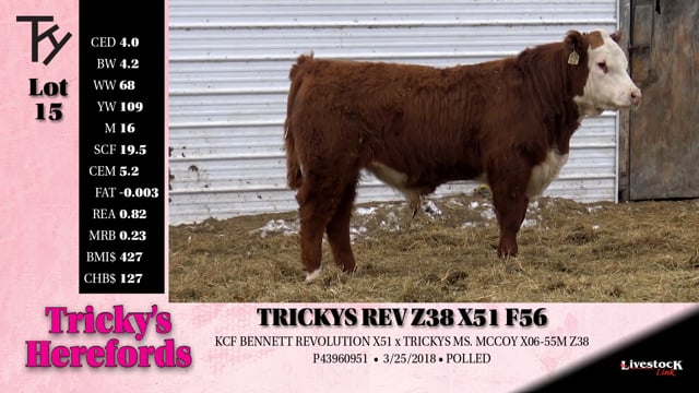 Lot #15 - TRICKYS REV Z38 X51 F56