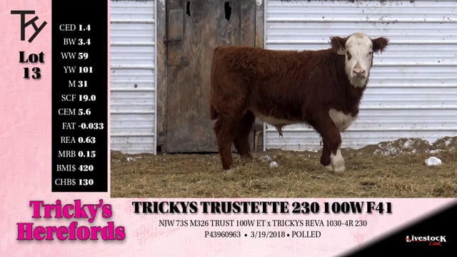 Lot #13 - TRICKYS TRUSTETTE 230 100W F41