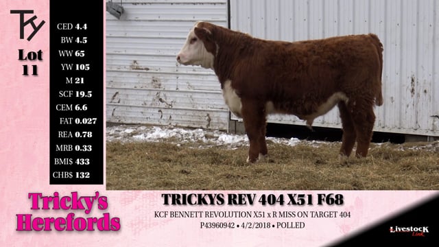 Lot #11 - TRICKYS REV 404 X51 F68