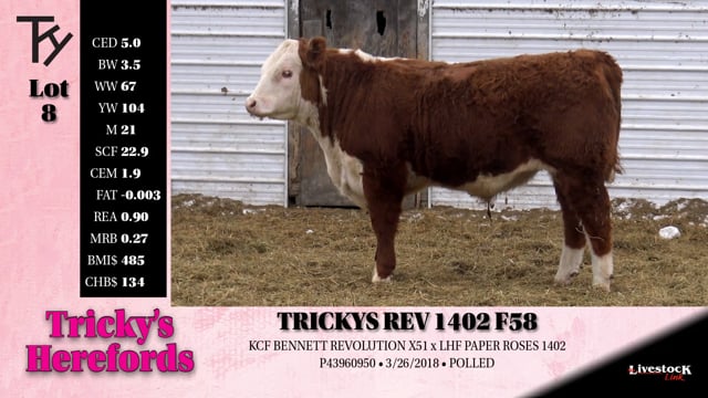 Lot #8 - TRICKYS REV 1402 F58