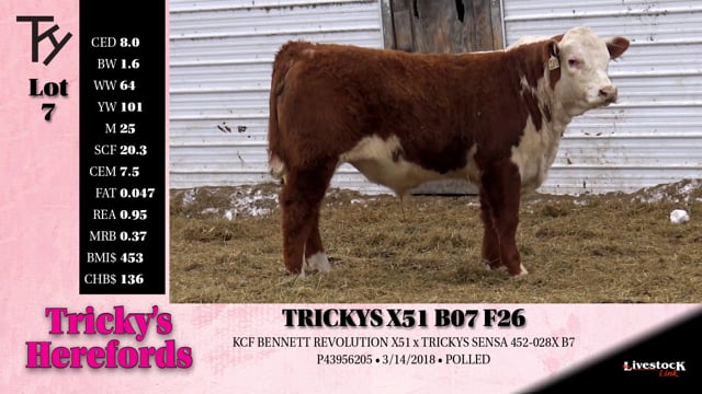 Lot #7 - TRICKYS X51 B07 F26