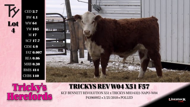 Lot #4 - TRICKYS REV W04 X51 F57