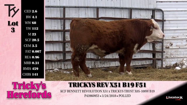 Lot #3 - TRICKYS REV X51 B19 F51