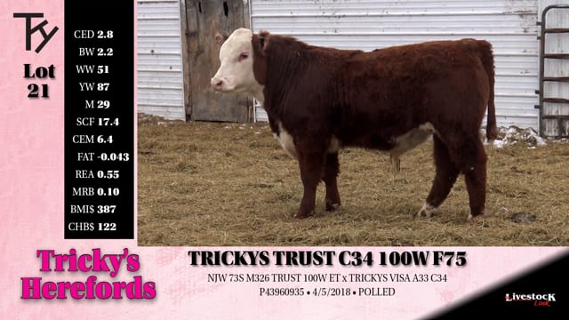 Lot #21 - TRICKYS TRUST C34 100W F75