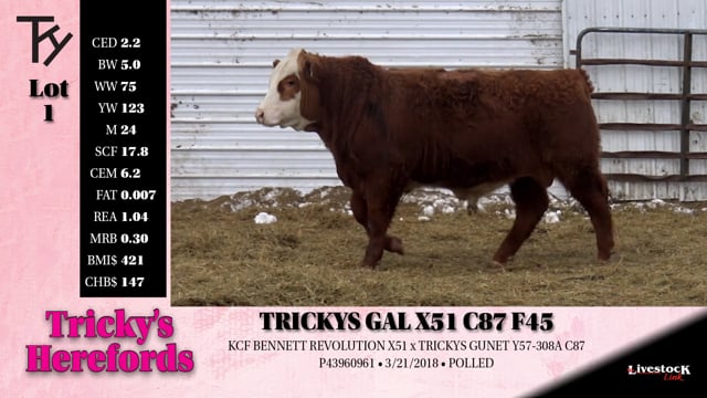 Lot #1 - TRICKYS GAL X51 C87 F45