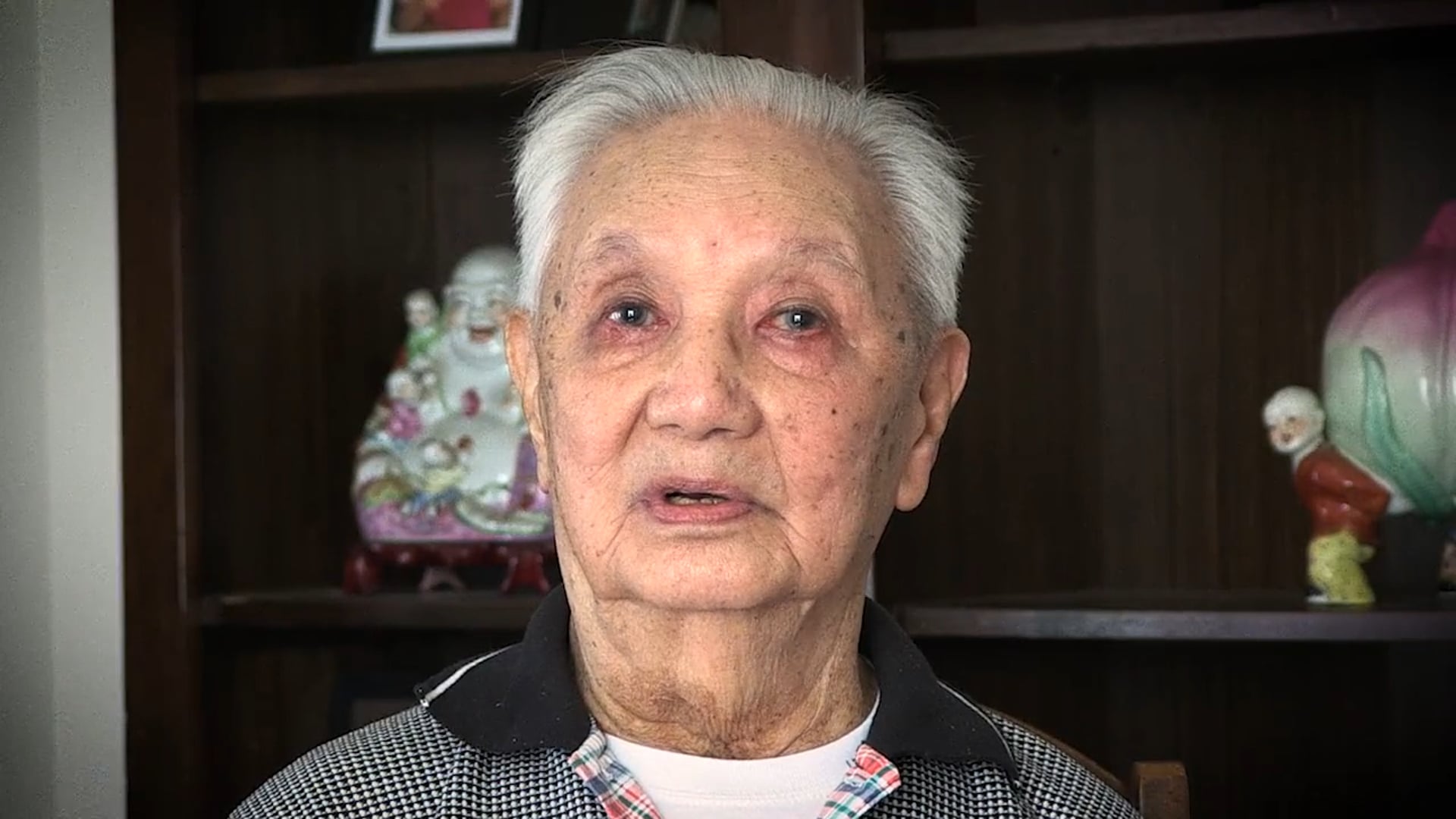 A Chinese American Veteran Story: DAVID LEO