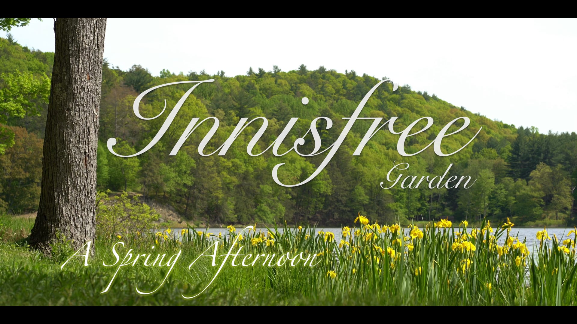 Innisfree Garden - A Spring afternoon . . .