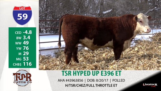 Lot #59 - TSR HYPED UP E396 ET