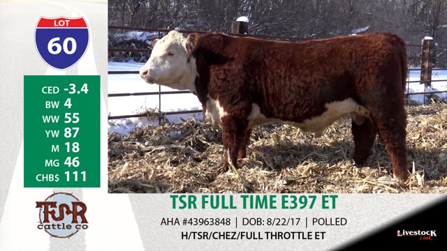 Lot #60 - TSR FULL TIME E397 ET
