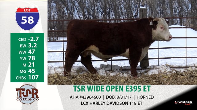 Lot #58 - TSR WIDE OPEN E395 ET