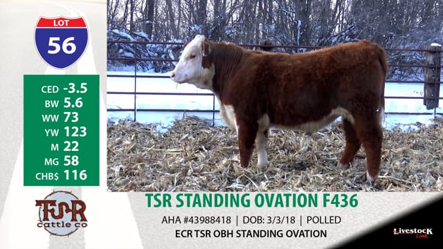 Lot #56 - TSR STANDING OVATION F436