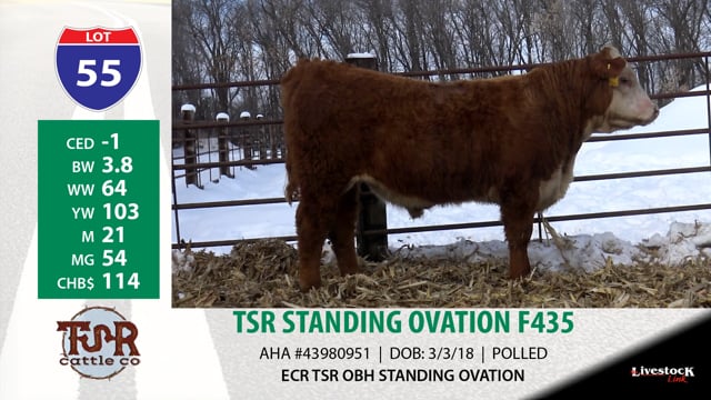 Lot #55 - TSR STANDING OVATION F435