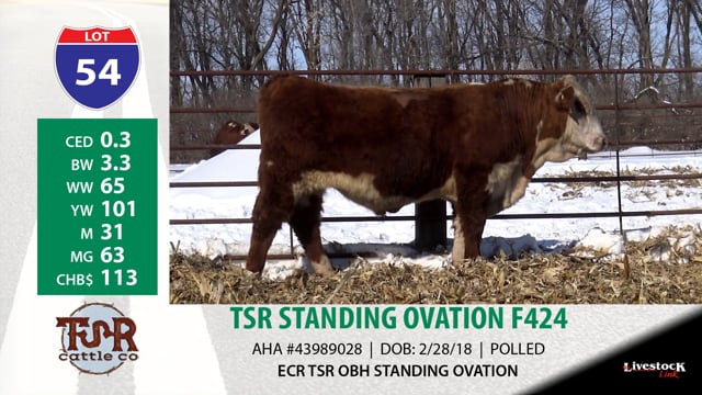 Lot #54 - TSR CATAPULT F424