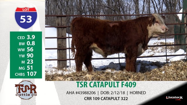 Lot #53 - TSR CATAPULT F409
