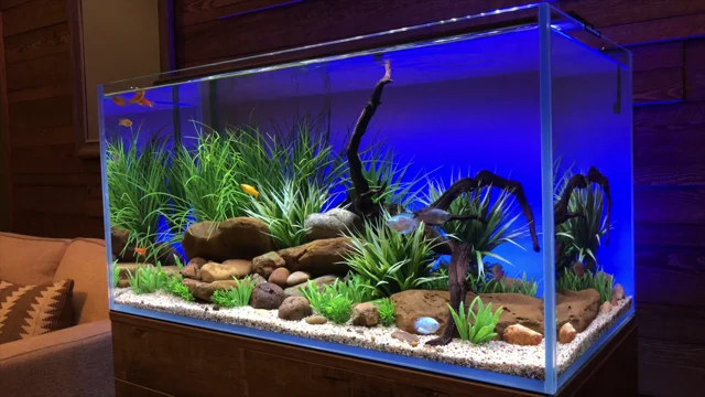 Serene Freshwater Aquarium LED with Background Lighting Color Fades 2