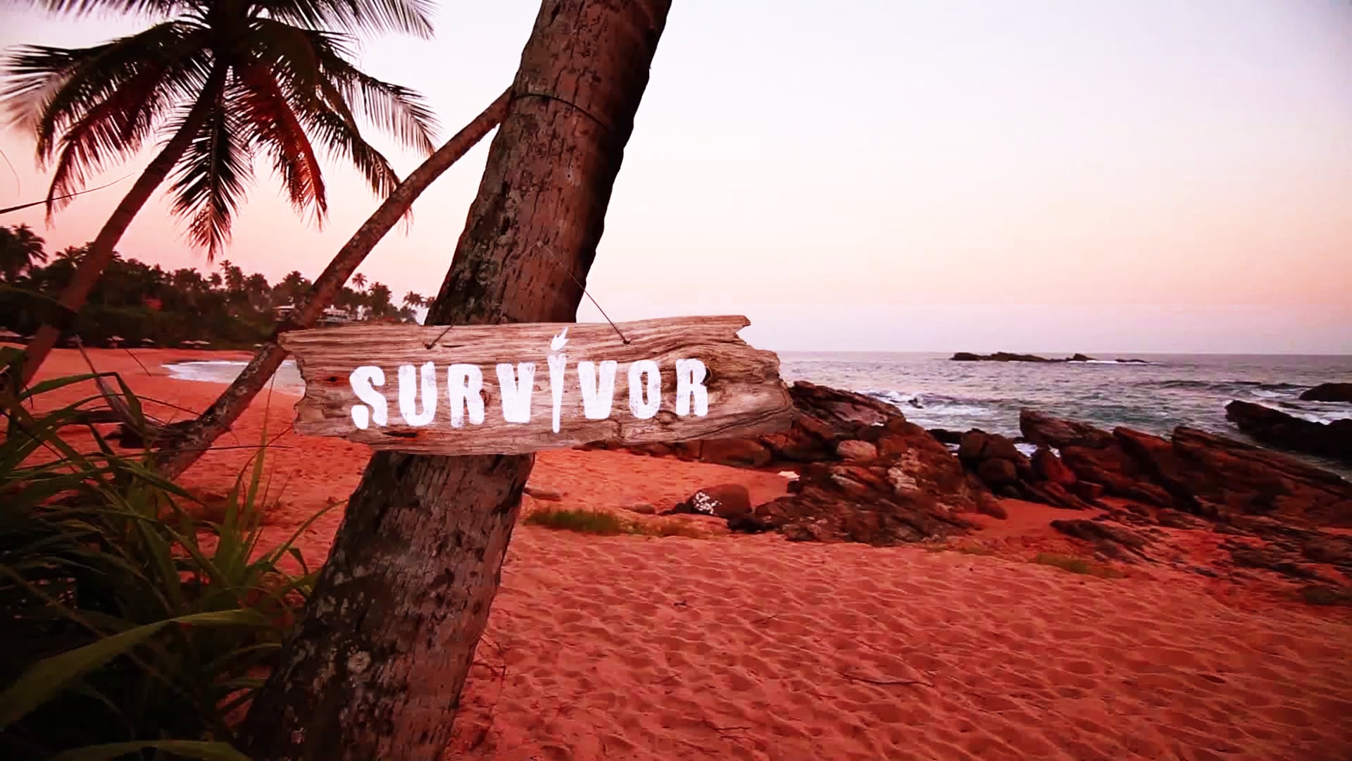 Survivor | show package
