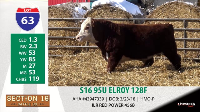 Lot #63 - S16 95U ELROY 128F