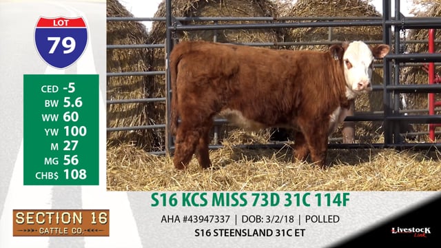 Lot #79 - S16 KCS MISS 73D 31C 114F