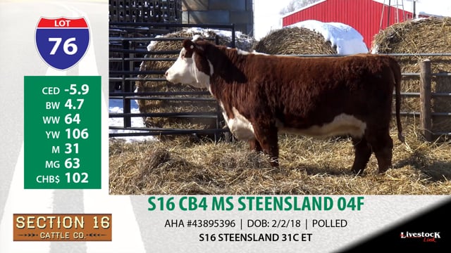 Lot #76 - S16 CB4 MS STEENSLAND 04F