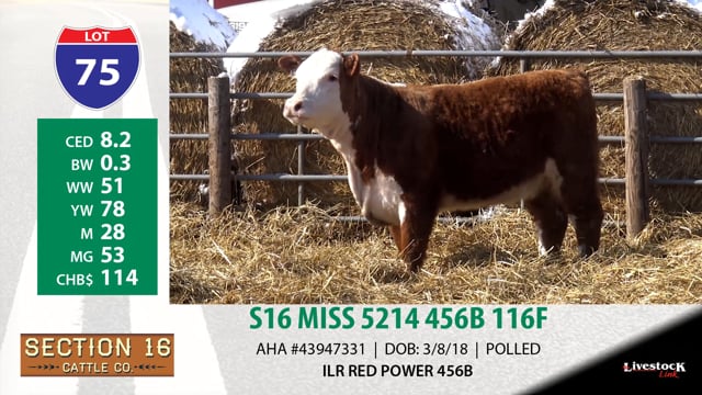 Lot #75 - S16 MISS 5214 456B 116F
