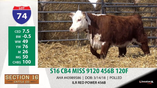 Lot #74 - S16 CB4 9120 456B 120F