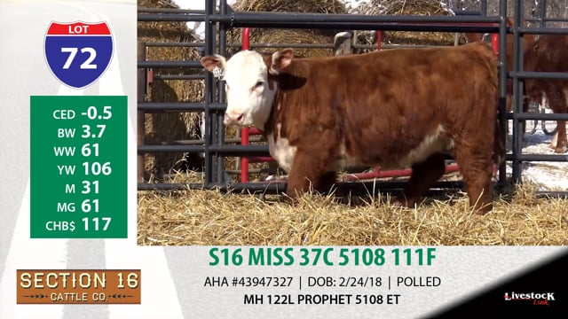Lot #72 - S16 MISS 37C 5108 111F