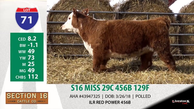 Lot #71 - S16 MISS 29C 456B 129F
