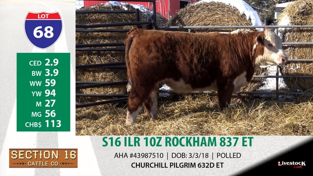 Lot #68 - S16 ILR 10Z R0CKHAM 837 ET