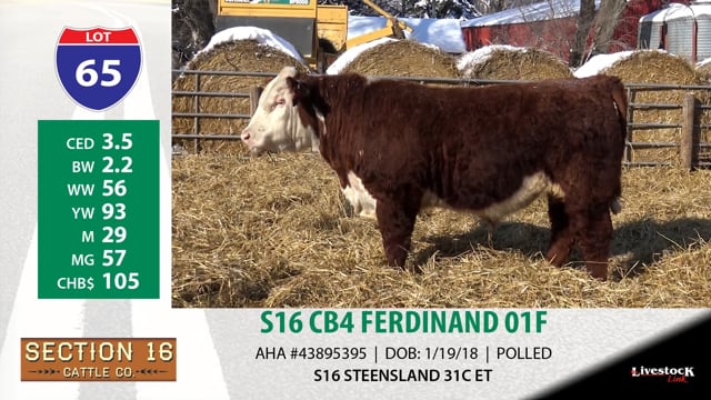 Lot #65 - S16 CB4 FERDINAND 01F