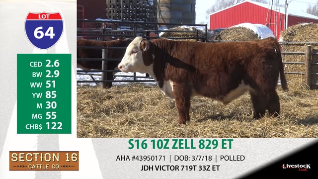 Lot #64 - S16 10Z ZZELL 829 ET