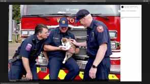 Waco Animal Shelter and Waco Fire Team Up