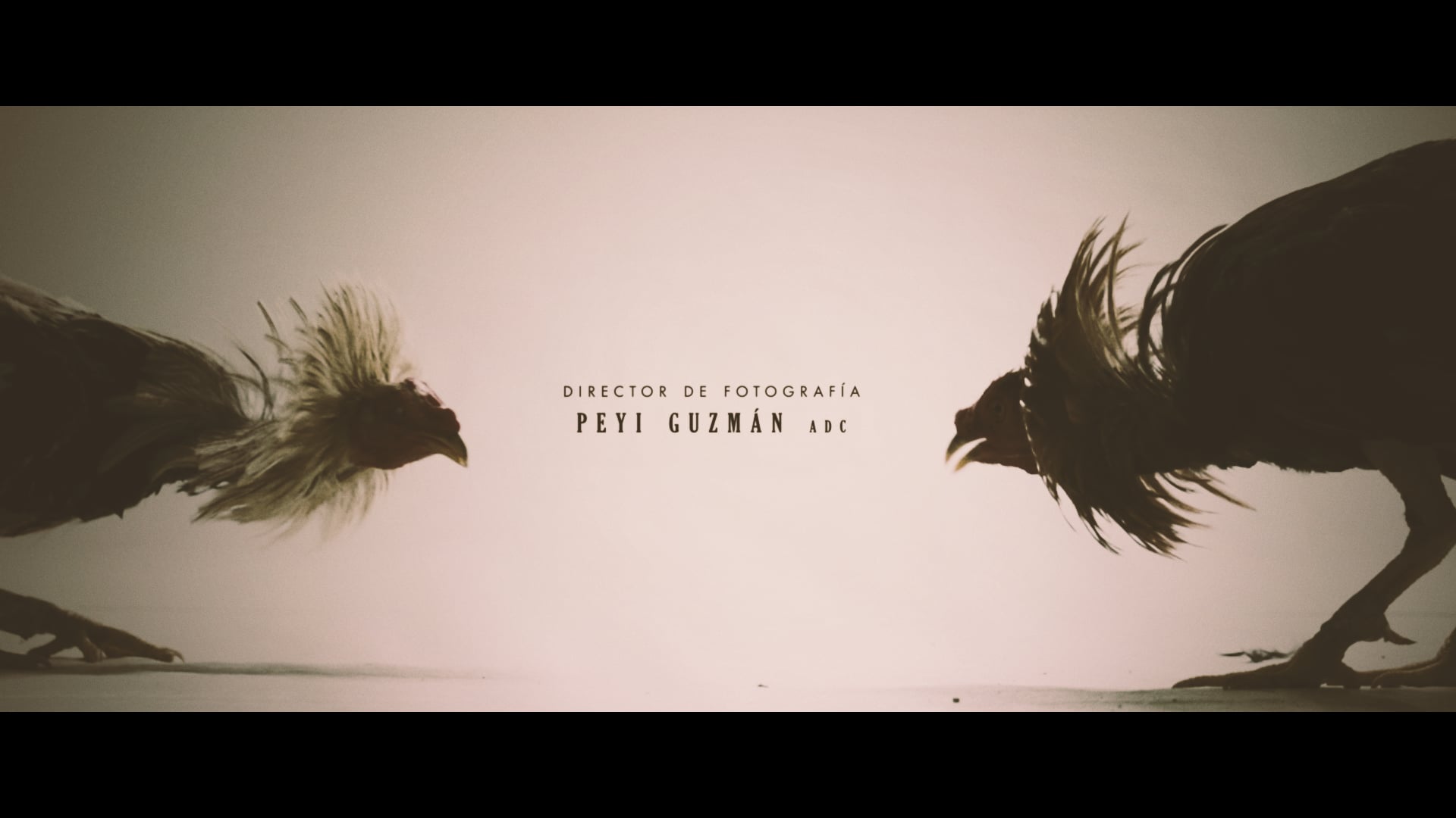 La Isla Rota - Title Sequence