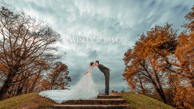 【龍園會館】Wesley & Joyce Wedding Mv,Like Studio / 萊克婚禮影像