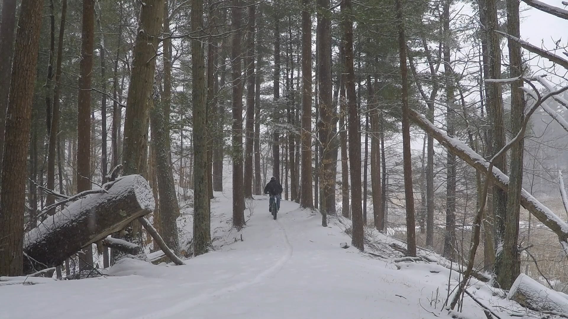 First Tracks