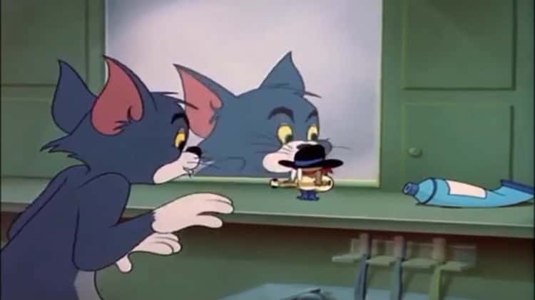 vídeos de desenhos animados de tom e jerry online