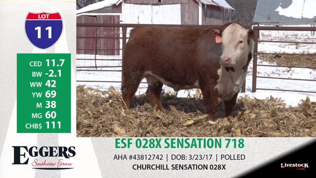 Lot #11 - ESF 028X SENSATION 718