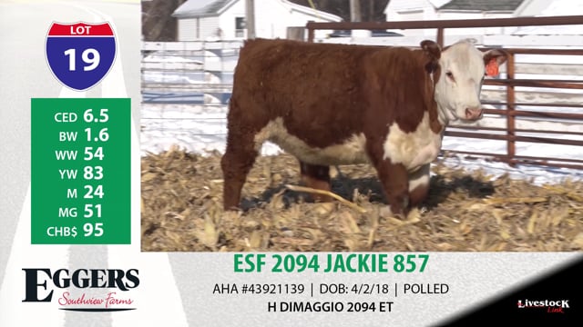 Lot #19 - ESF 2094 JACKIE 857