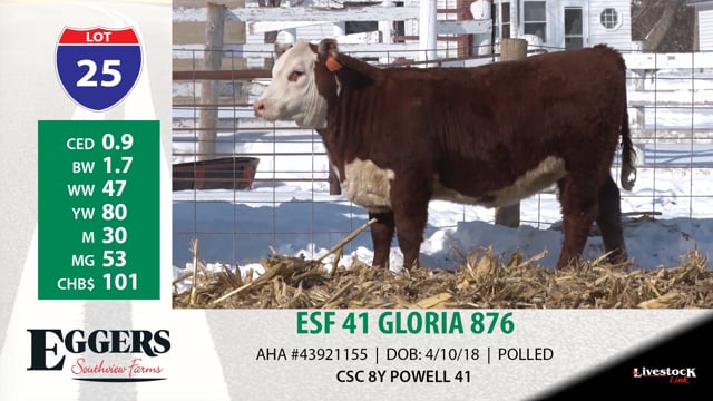 Lot #25 - ESF 41 GLORIA 876