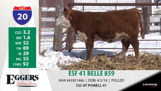 Lot #20 - ESF 41 BELLE 859