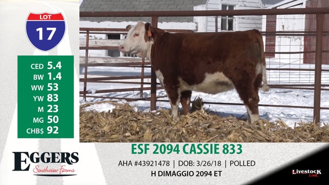 Lot #17 - ESF 2094 CASSIE 833
