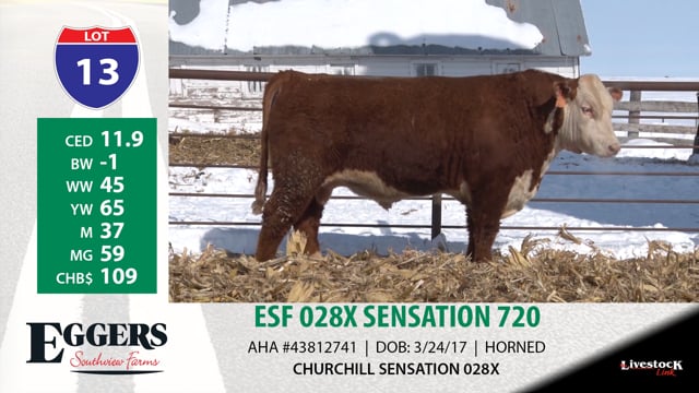 Lot #13 - ESF 028X SENSATION 720