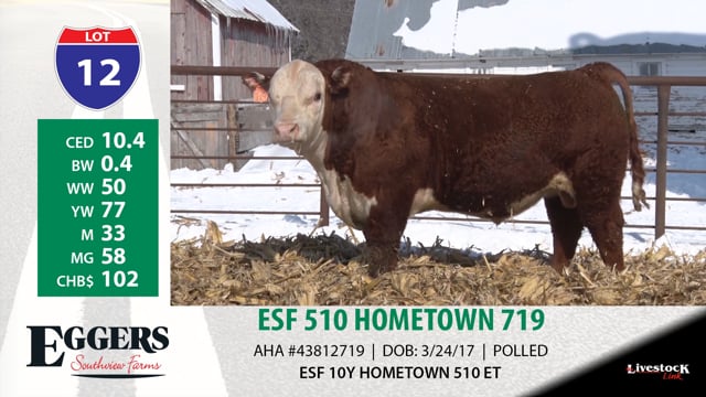 Lot #12 - ESF 510 HOMETOWN 719
