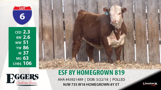 Lot #6 - ESF 8Y HOMEGROWN 819