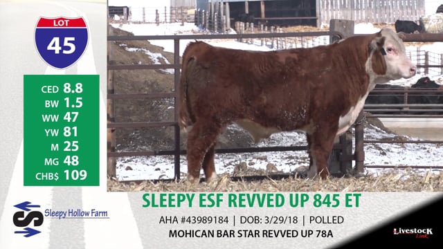 Lot #45 - SLEEPY ESF REVVED UP 845 ET