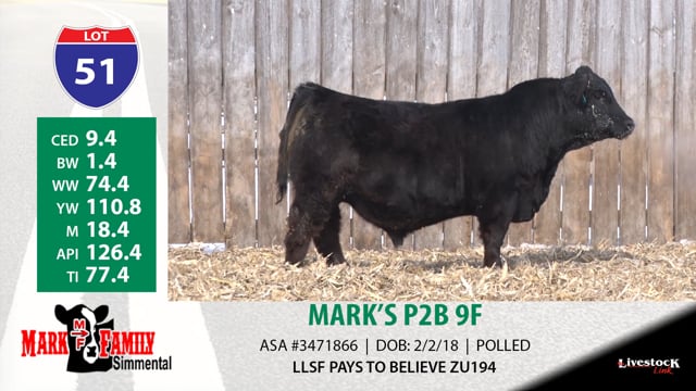 Lot #51 - MARK'S P2B 9F