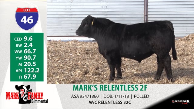 Lot #46 - MARK'S RELENTLESS 2F