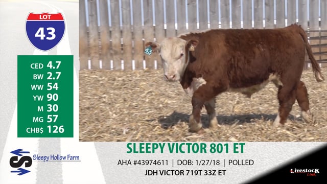 Lot #43 - SLEEPY VICTOR 801 ET